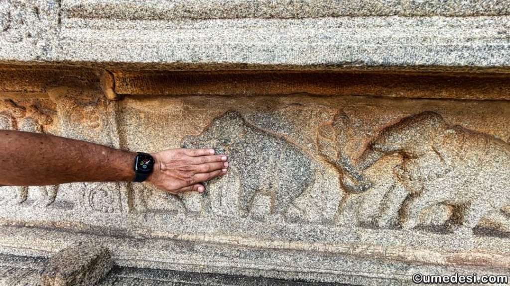 Elephants and floral carvings on the exterior walls of Vijaya Vittala Temple, Hampi.